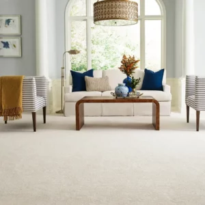 Carpet in living room | Dehart Tile