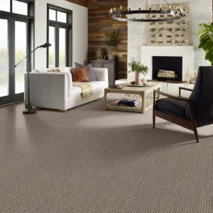 Carpet in a sitting room | Dehart Tile